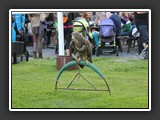 carodejnice_2014_071