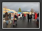 stromek_2013_047