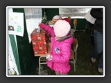 stromek_2013_081
