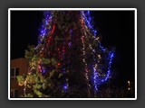 stromek_2014_129